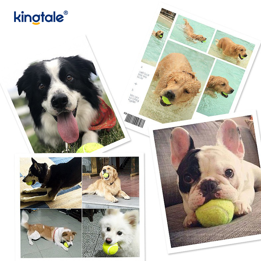 Pet Toy Tennis Izdržljiva i otporna na ugrize za Pet Chew Exercise Interactive