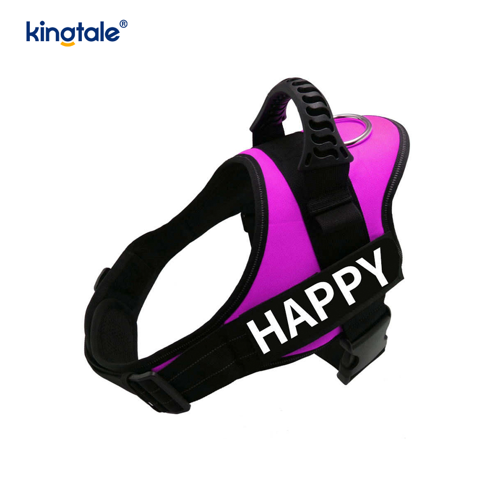 Bez povlačenja, reflektirajući dizajnerski pojas za pse, povodac za pse od čvrstog najlonskog užeta