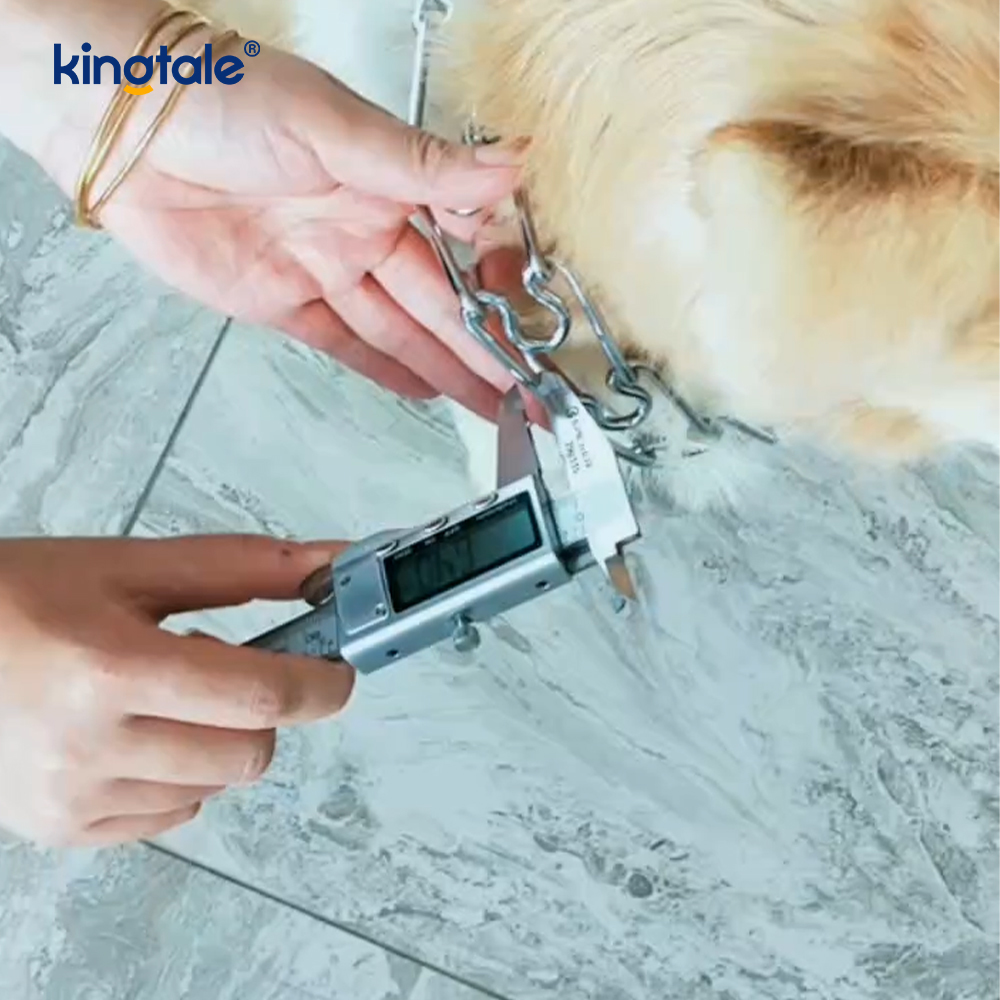 Pet Pinch Choke Collars Ogrlica za dresuru pasa s metalnim zupcima od ugljičnog čelika