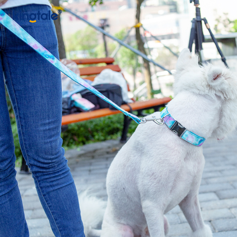 Dreamy Starry Sky Ogrlica za kućne ljubimce Amazon-Style Dog Necklace Leash