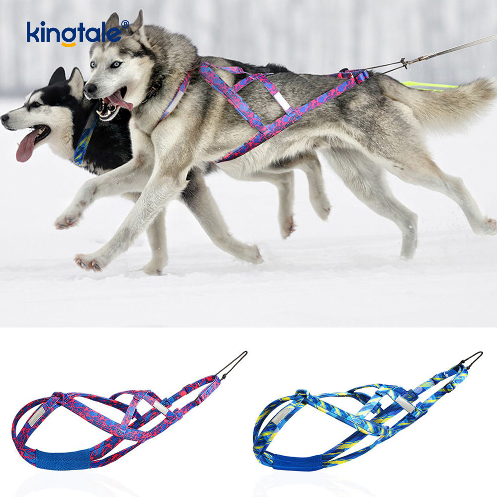 Pas koji vuče Husky Mushing pojas X Leđni pojas za pse